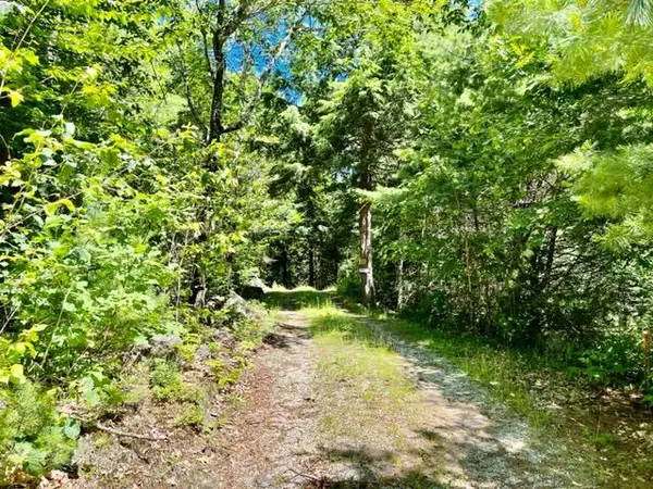 Orland, ME 04472,28 Cottage LN