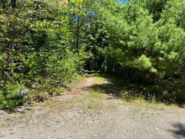 Orland, ME 04472,28 Cottage LN