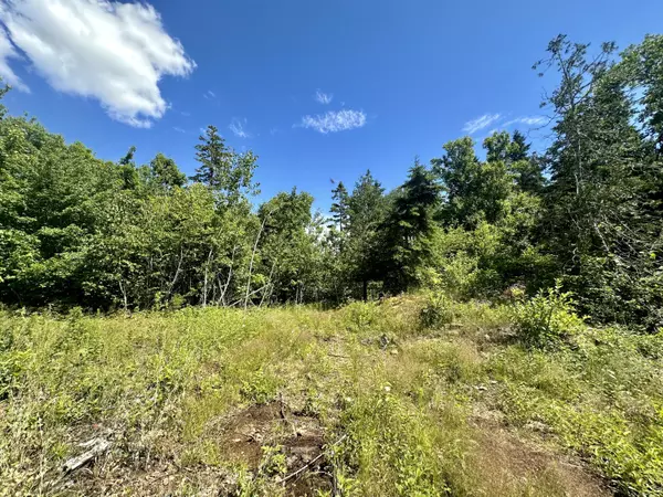 374 Youngs Cove RD, Pembroke, ME 04666