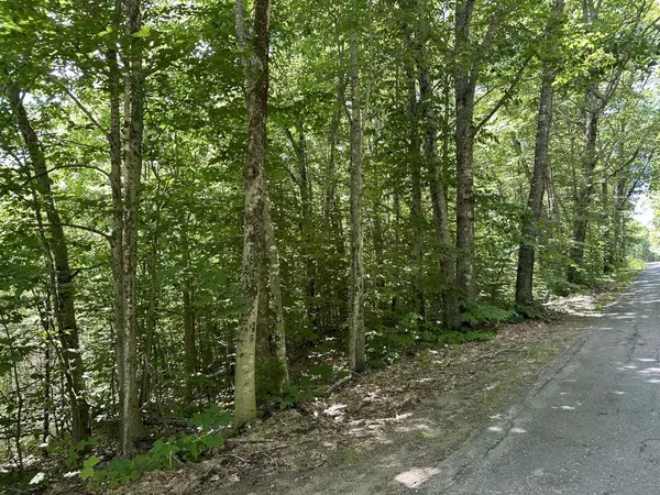 Chesterville, ME 04938,Lot 2 Egypt Pond RD