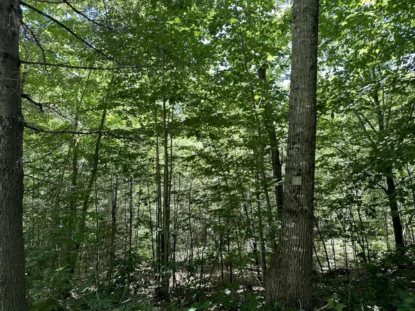 Chesterville, ME 04938,Lot 2 Egypt Pond RD
