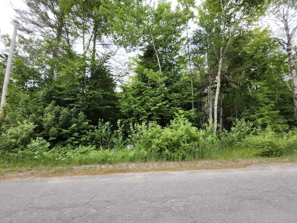 Millinocket, ME 04462,Lot 24 Rice Farm RD