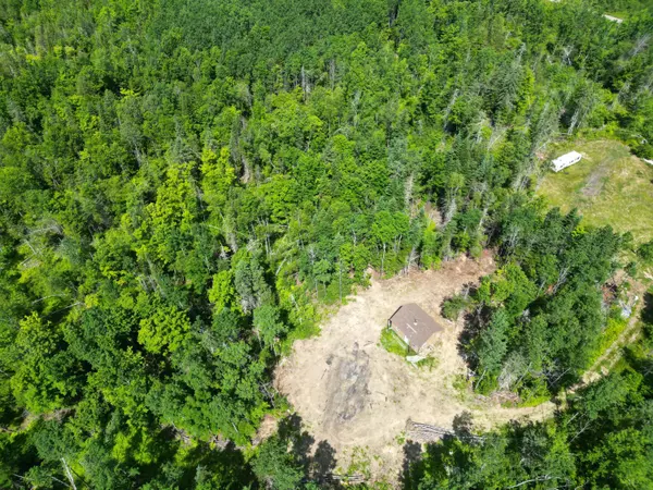 Prentiss Twp T7 R3 Nbpp, ME 04487,Lot 11.2 Tar Ridge RD
