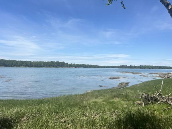 Lamoine, ME 04605,Lot #2 Seal Point Road