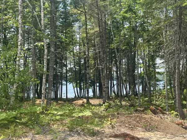 Waltham, ME 04605,Map 1/15 Route 179