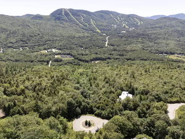 Newry, ME 04261,Lot 21 Panorama DR