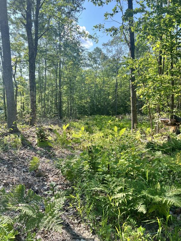 Lot #18 Buck Hill DR, Veazie, ME 04401