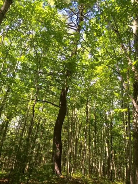 Kennebunk, ME 04043,265 Webber Hill RD