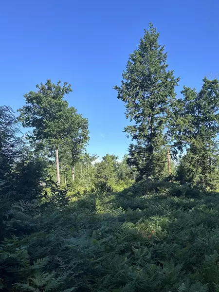 0 Old Ledge RD, Lebanon, ME 04027