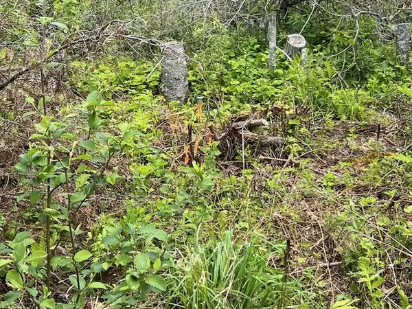 Pembroke, ME 04666,Lot 29-001 Fifth AVE