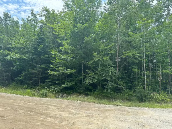 Orland, ME 04472,Lot 7 Winkumpaugh CORS