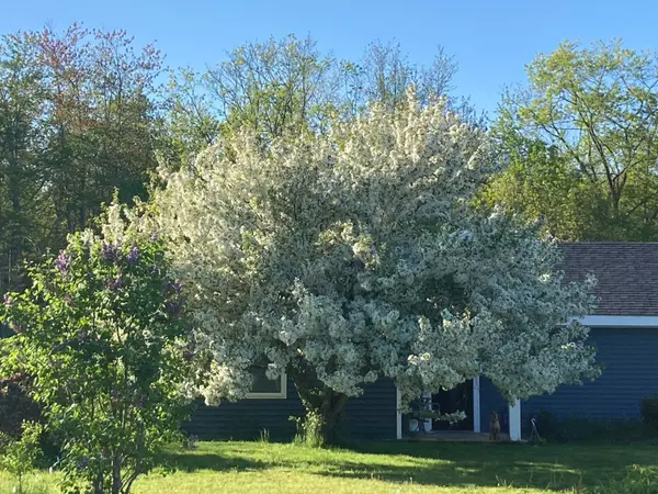 Belfast, ME 04915,42 Back Searsport RD