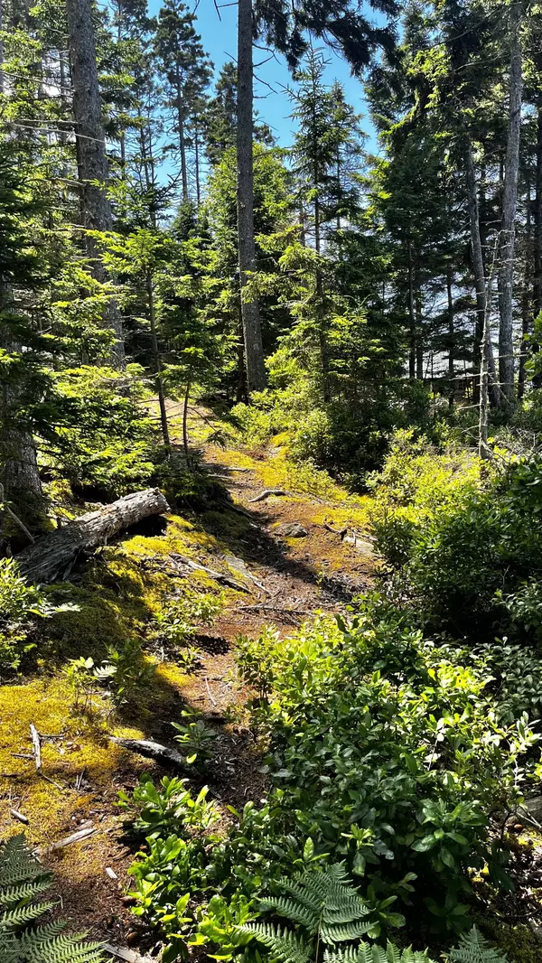 Friendship, ME 04547,677 Friendship Long IS