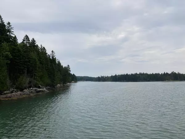 Steuben, ME 04680,000 Shady LN S