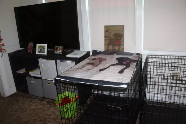 Patten, ME 04765,146 Houlton Street