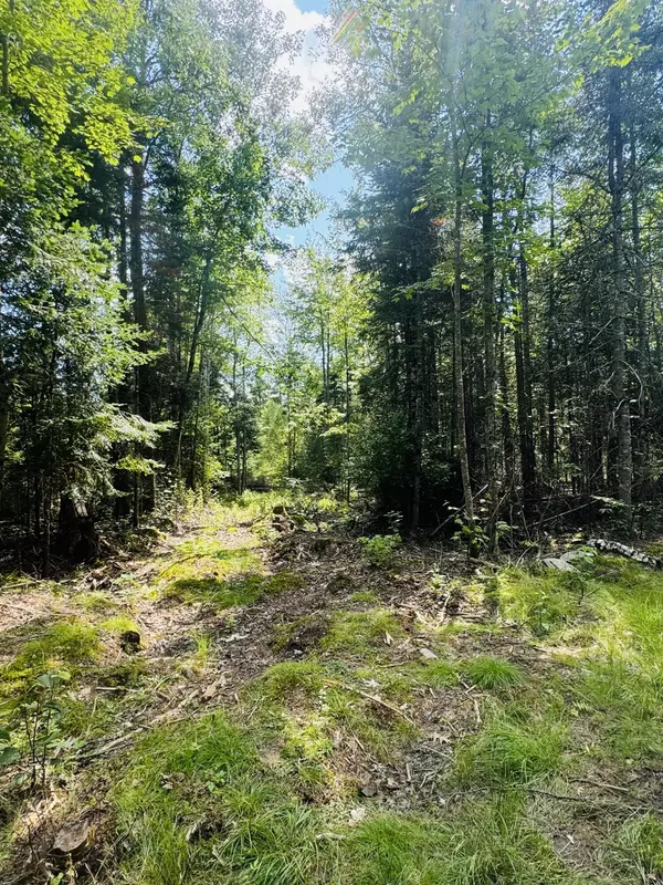 Hudson, ME 04449,14-6 Hemlock DR