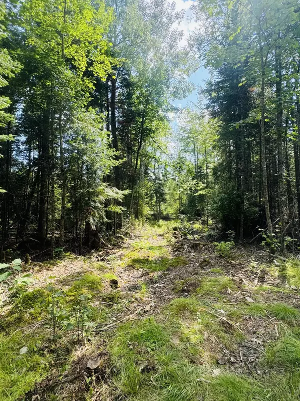 Hudson, ME 04449,14-6 Hemlock DR