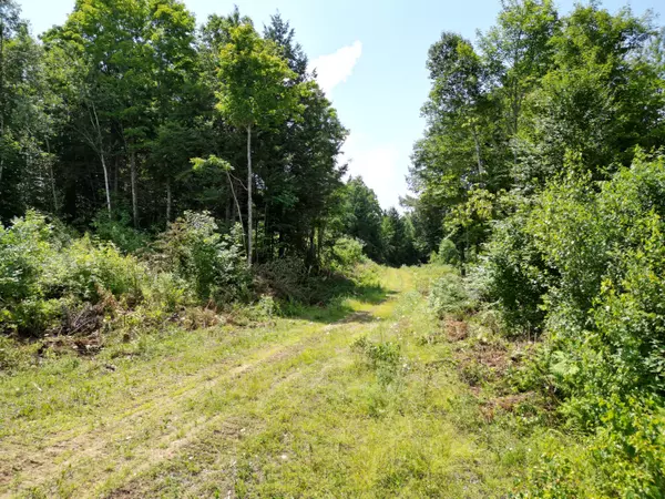 Springfield, ME 04487,Lot 8 Dirty Glove RD