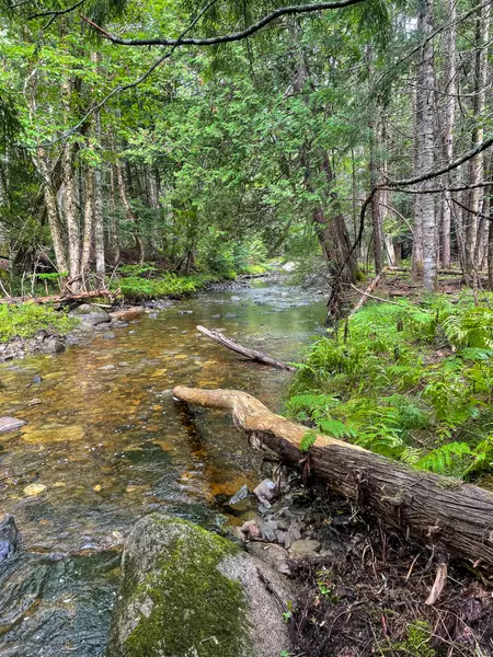 13B Bluegrass AVE, Prentiss Twp T7 R3 Nbpp, ME 04487