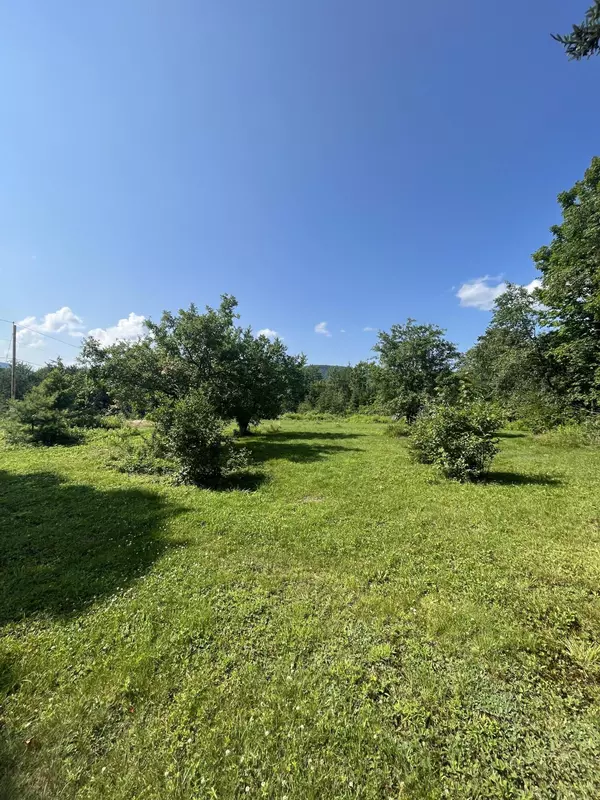 Weld, ME 04285,31 Brown Neighborhood Road