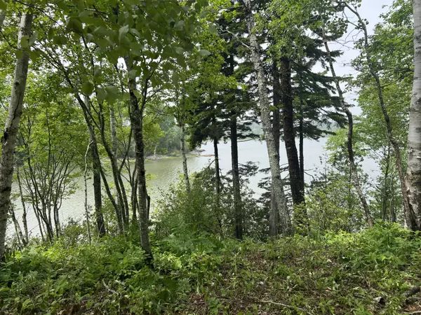 Machiasport, ME 04655,MarkayWest Puffins Lane