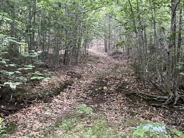 Lee, ME 04455,001-017 Arab RD