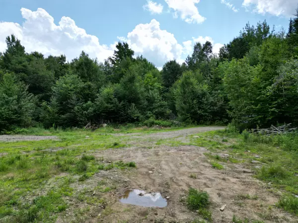 Springfield, ME 04487,Lot 1-1 Off Ghost RD