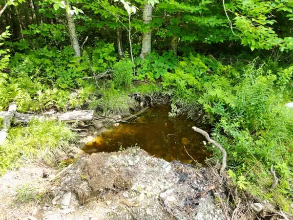 Springfield, ME 04487,Lot 1-1 Off Ghost RD