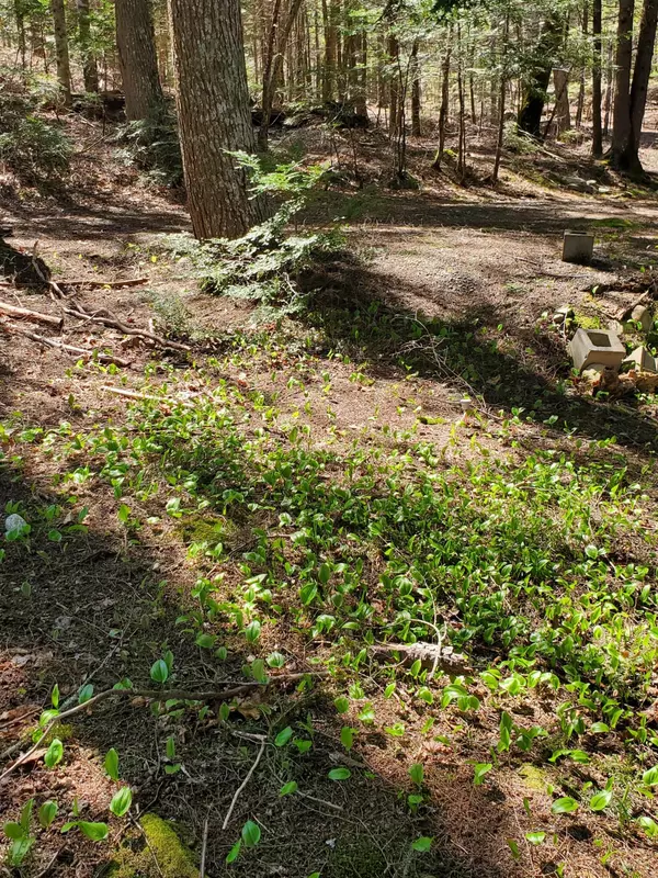 Union, ME 04862,00 Springer LN