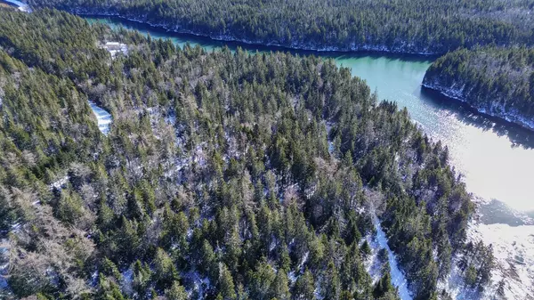 Trescott Twp, ME 04631,0 Map WA032 Plan 05 Lot 31.1 RD