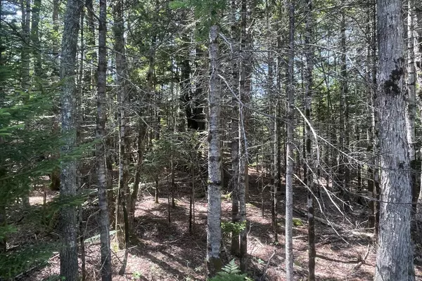 Mount Desert, ME 04660,0 Denning Brook RD