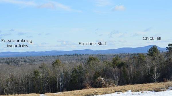 Lot # 30 Fox LN, Eddington, ME 04428