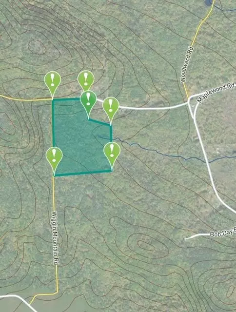 Parsonsfield, ME 04047,00 Stonewood Lane