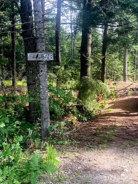 548 John Dean RD, Orneville Twp, ME 04463