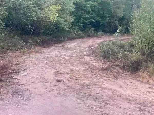 Steuben, ME 04680,0 Tunk Stream Unionville Road