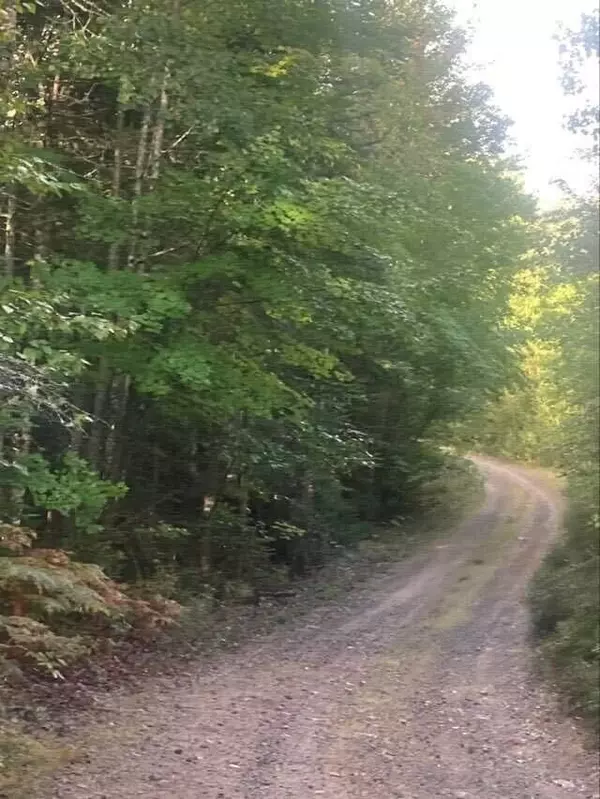 Steuben, ME 04680,0 Tunk Stream Unionville Road