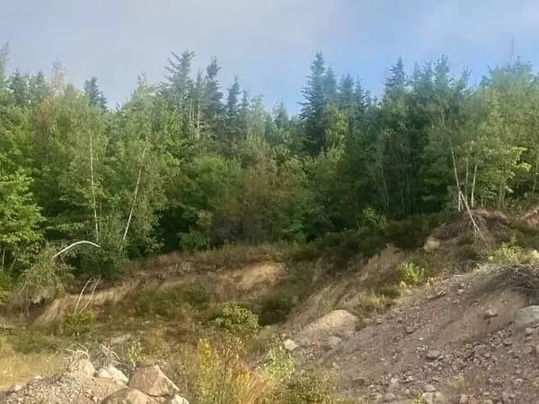 Steuben, ME 04680,0 Tunk Stream Unionville Road