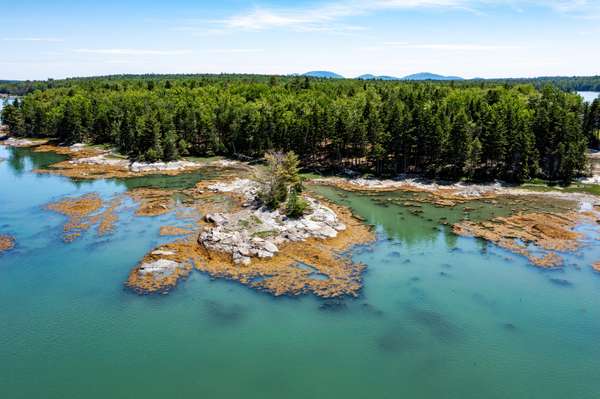 Lot #3 Seal Point Road, Lamoine, ME 04605