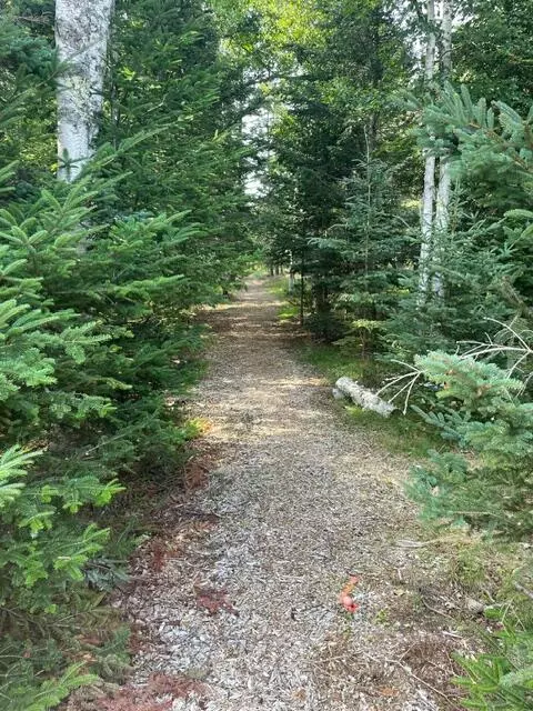 Tremont, ME 04653,Lot 4 Sophie's Way WAY