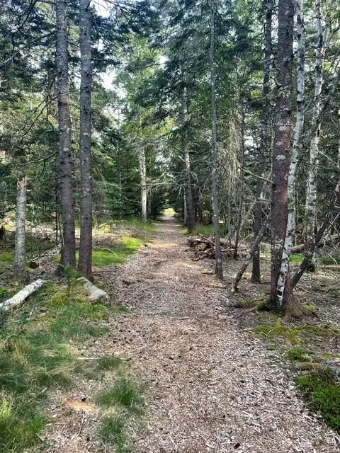 Tremont, ME 04653,Lot 4 Sophie's Way WAY