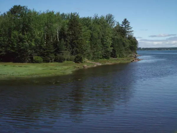 Saint George, ME 04860,M217 L074 Kallio Cove RD