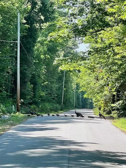 Waterford, ME 04088,Lot 1 Hawk Mountain RD