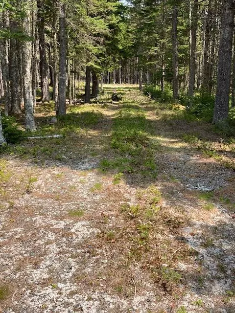 Machiasport, ME 04655,31 Yoho Head RD