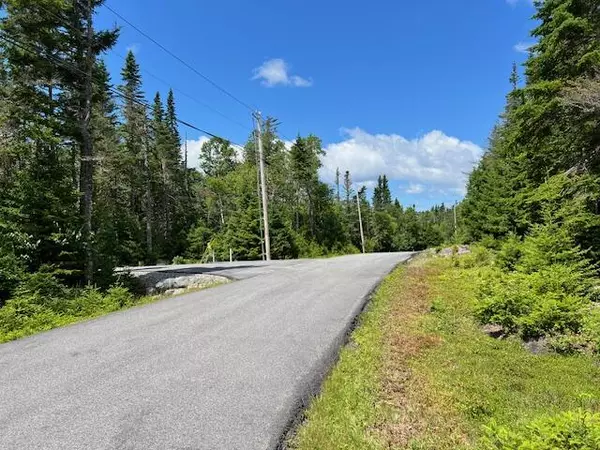 Machiasport, ME 04655,31 Yoho Head RD