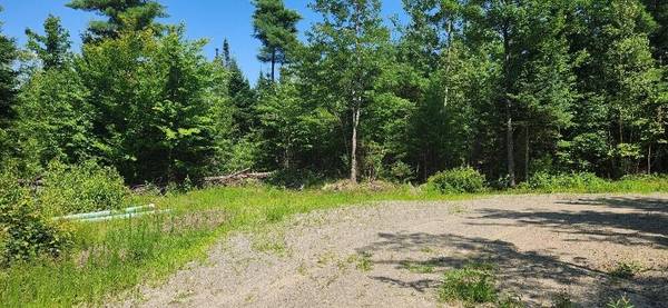 lot 30-8 off Cardville RD, Greenbush, ME 04418