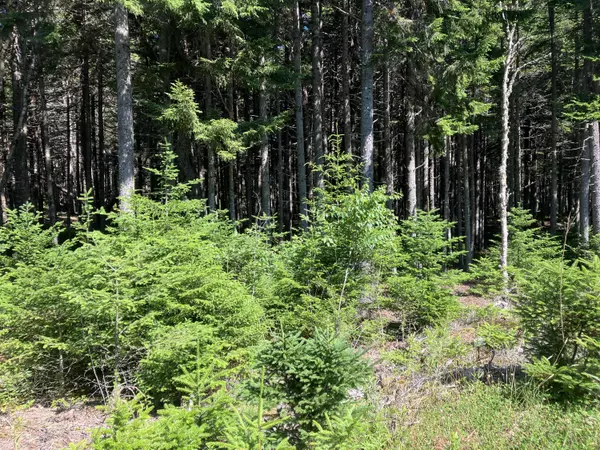 Addison, ME 04606,26 Wohoa Bay DR