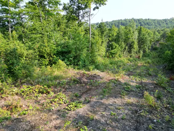 Springfield, ME 04487,Lot 14 West RD
