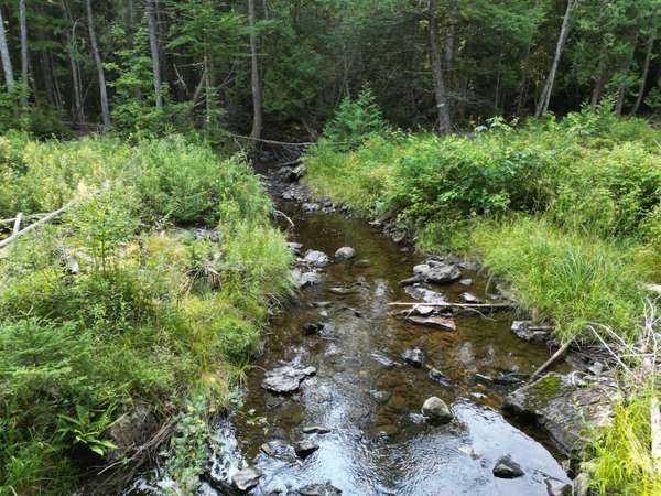 Lot 14 West RD, Springfield, ME 04487