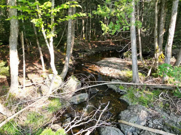 Springfield, ME 04487,Lot 13 West RD