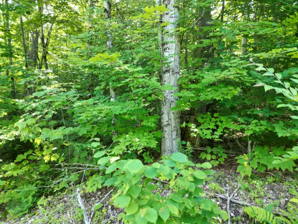 Springfield, ME 04487,Lot 12 West RD